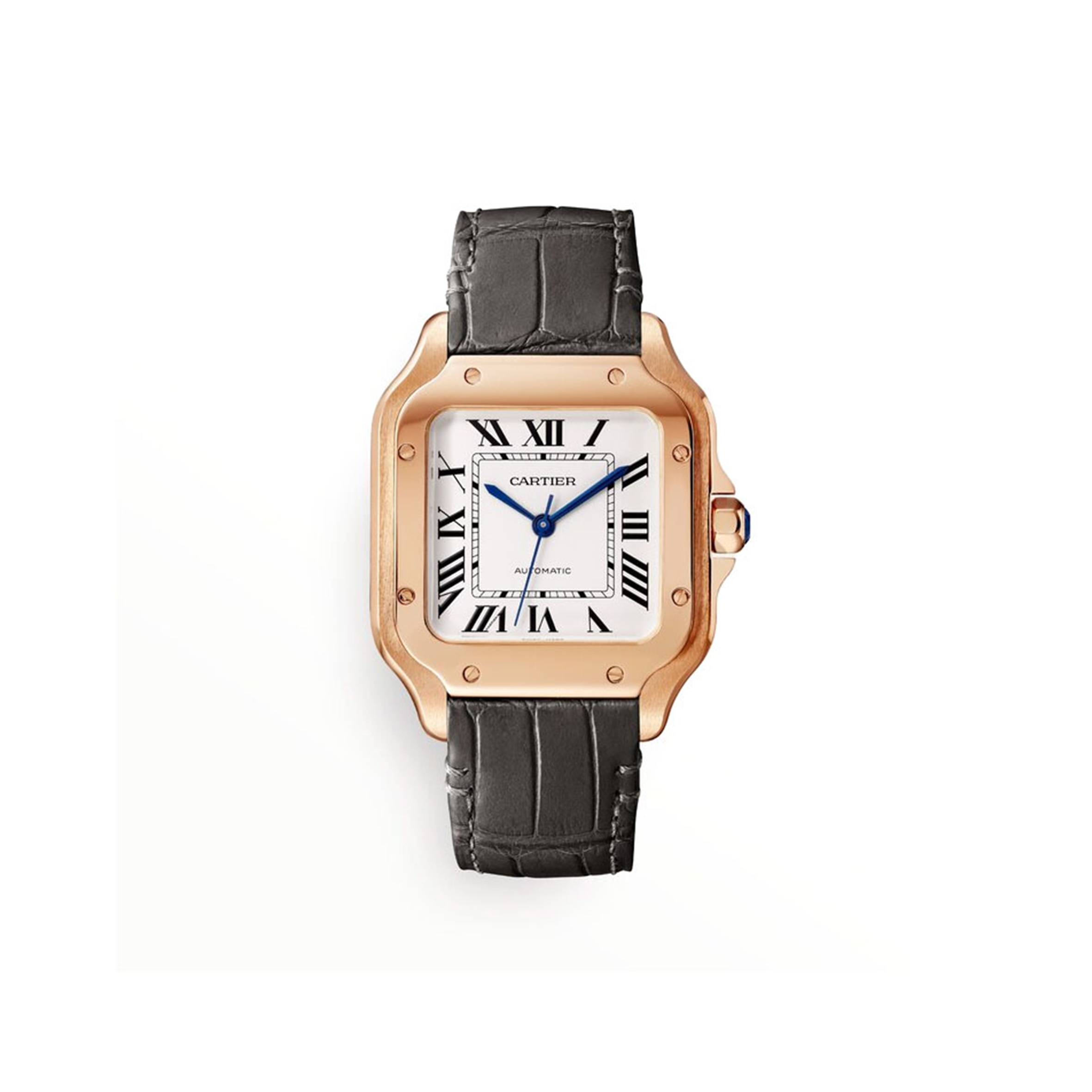 CARTIER SANTOS DE CARTIER WATCH WGSA0028